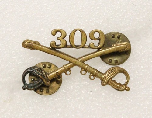 309th cavalry regiment army - 309th,