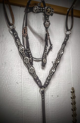 Custom parade showtack set - parade/showtack,